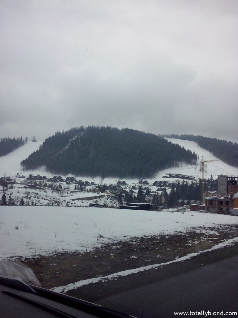 CAM00353