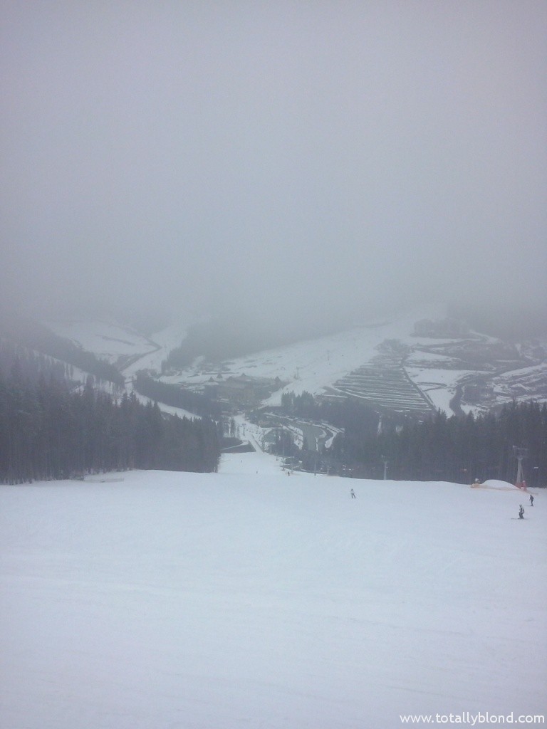 CAM00371