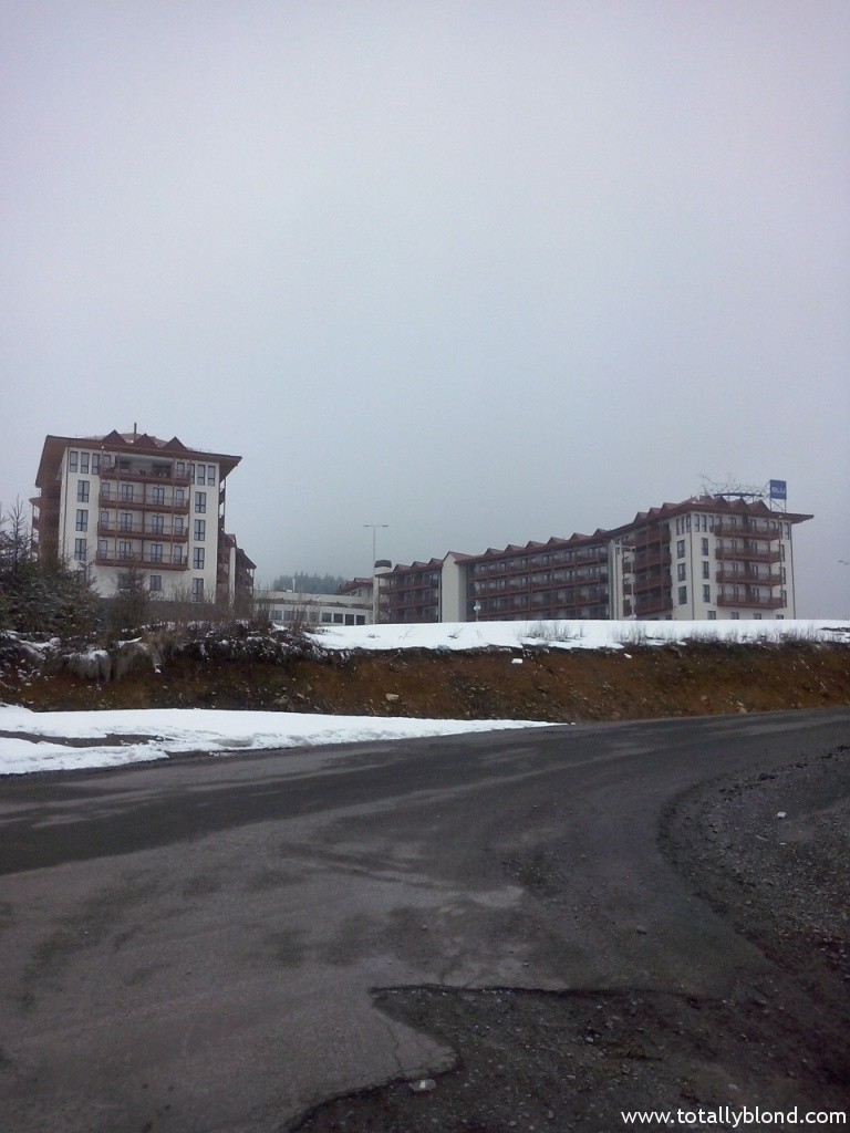 CAM00377