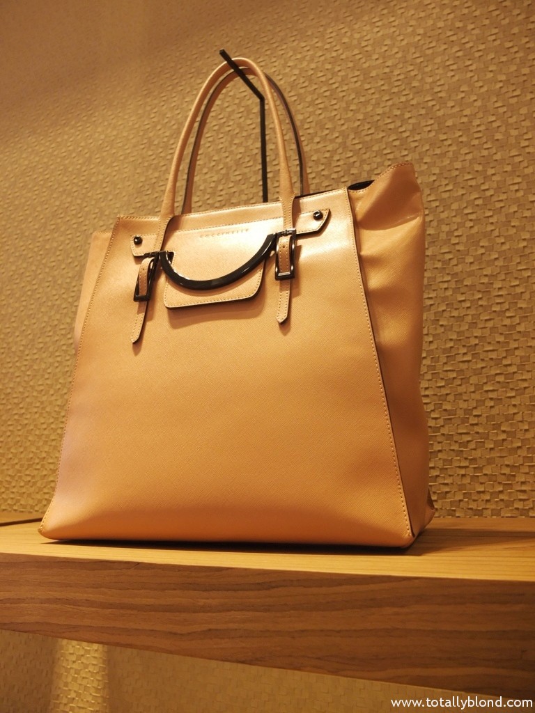 DSCF6556