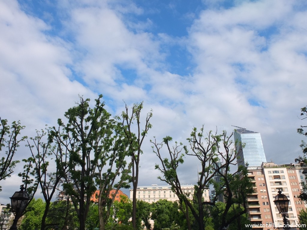 DSCF6207