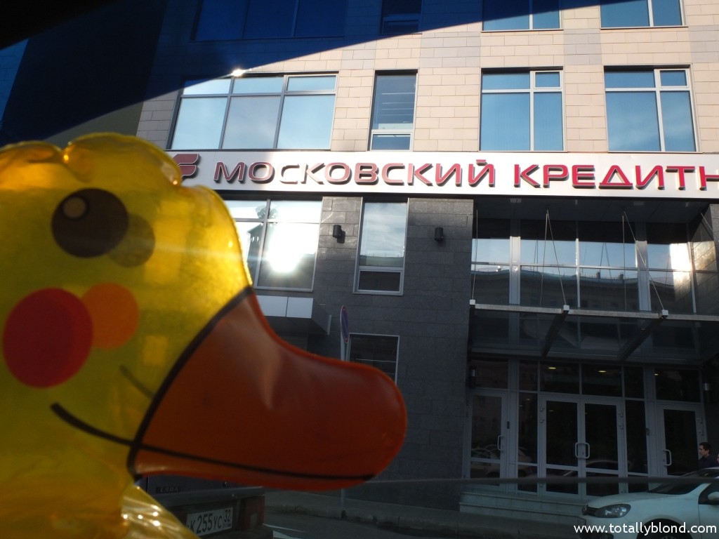 DSCF6529