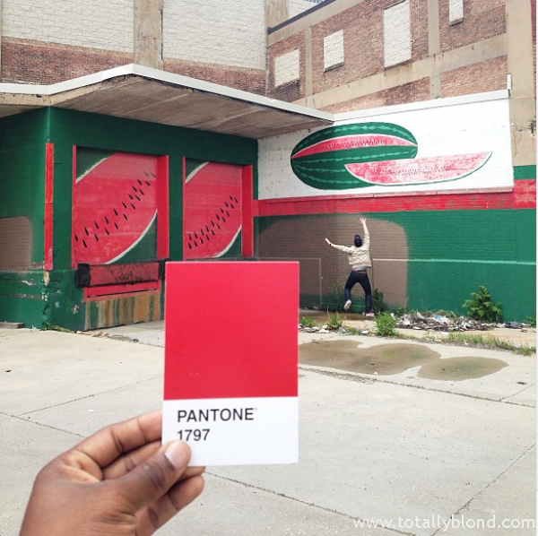 Pantone-Everyday-Life-by-Paul-Octavious-1-600x598