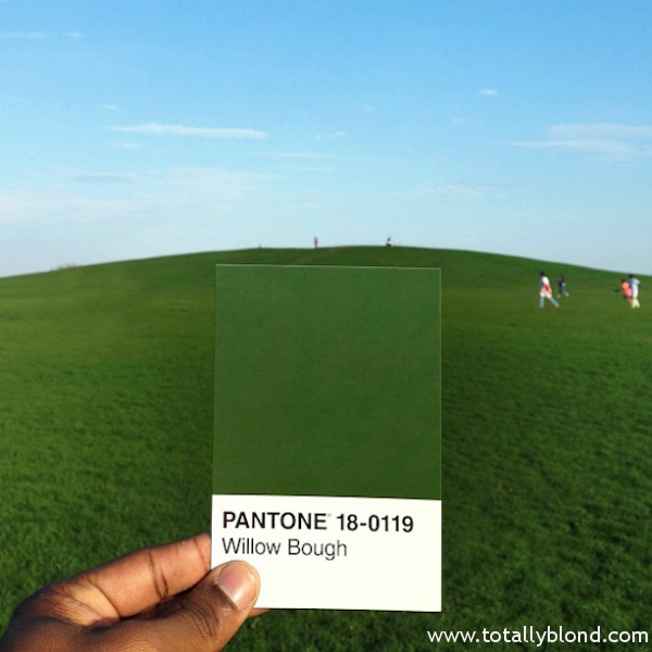 Pantone-Everyday-Life-by-Paul-Octavious-3-600x600
