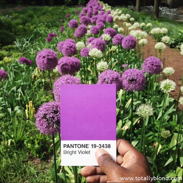 Pantone-Everyday-Life-by-Paul-Octavious-5-600x600