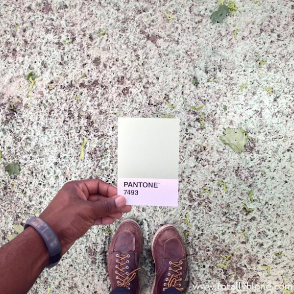 Pantone-Everyday-Life-by-Paul-Octavious-6-600x600