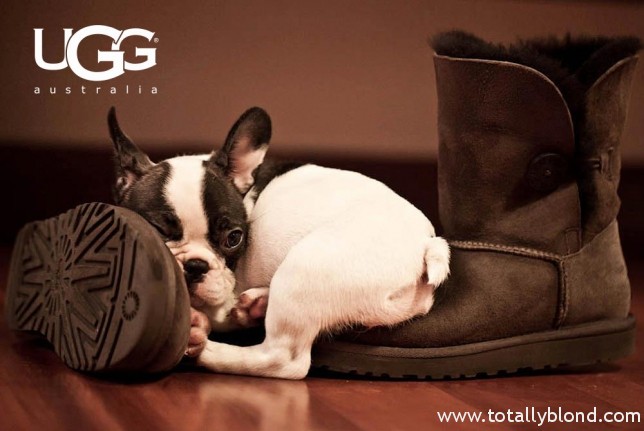 th_9f28df2fee8ae3254930267e5d9c40c7_1379947339UGG_Barbarys