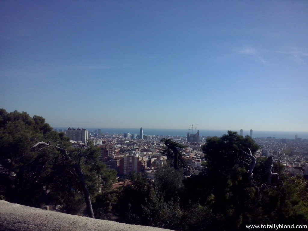 CAM07803
