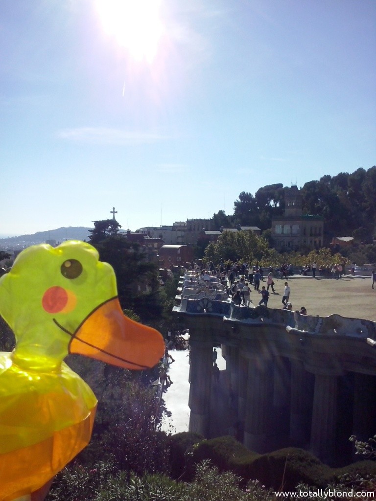 CAM07805