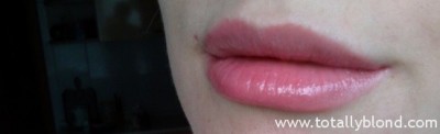 CAM00848