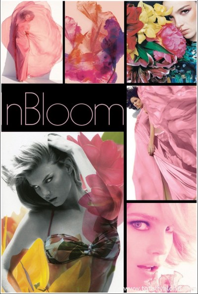 spring2011_smashbox001