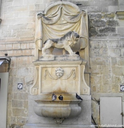 IMGP8444